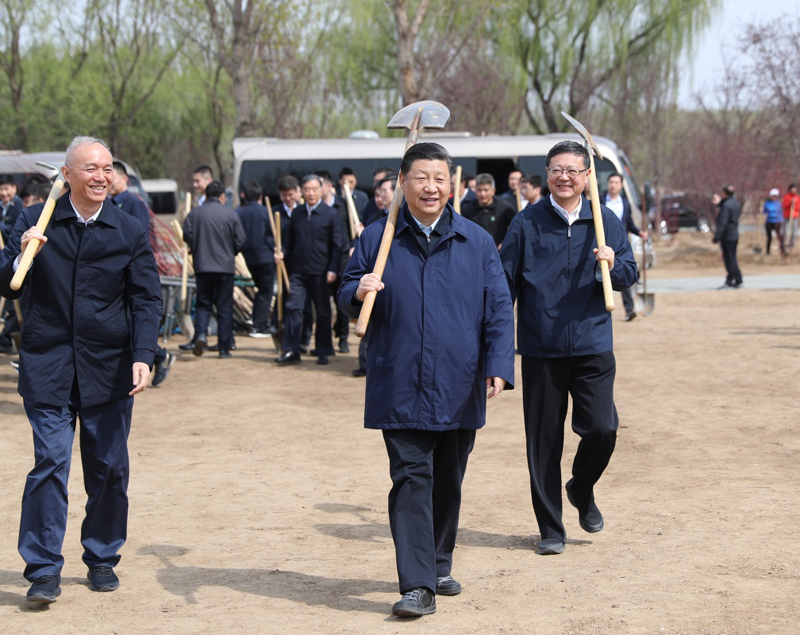 习近平：发扬中华民族爱树植树护树好传统 1.jpg