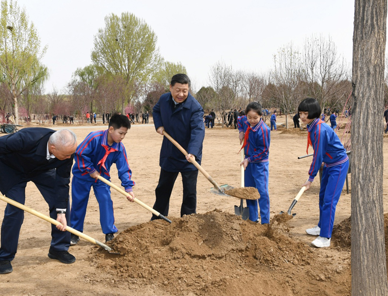 习近平：发扬中华民族爱树植树护树好传统.jpg