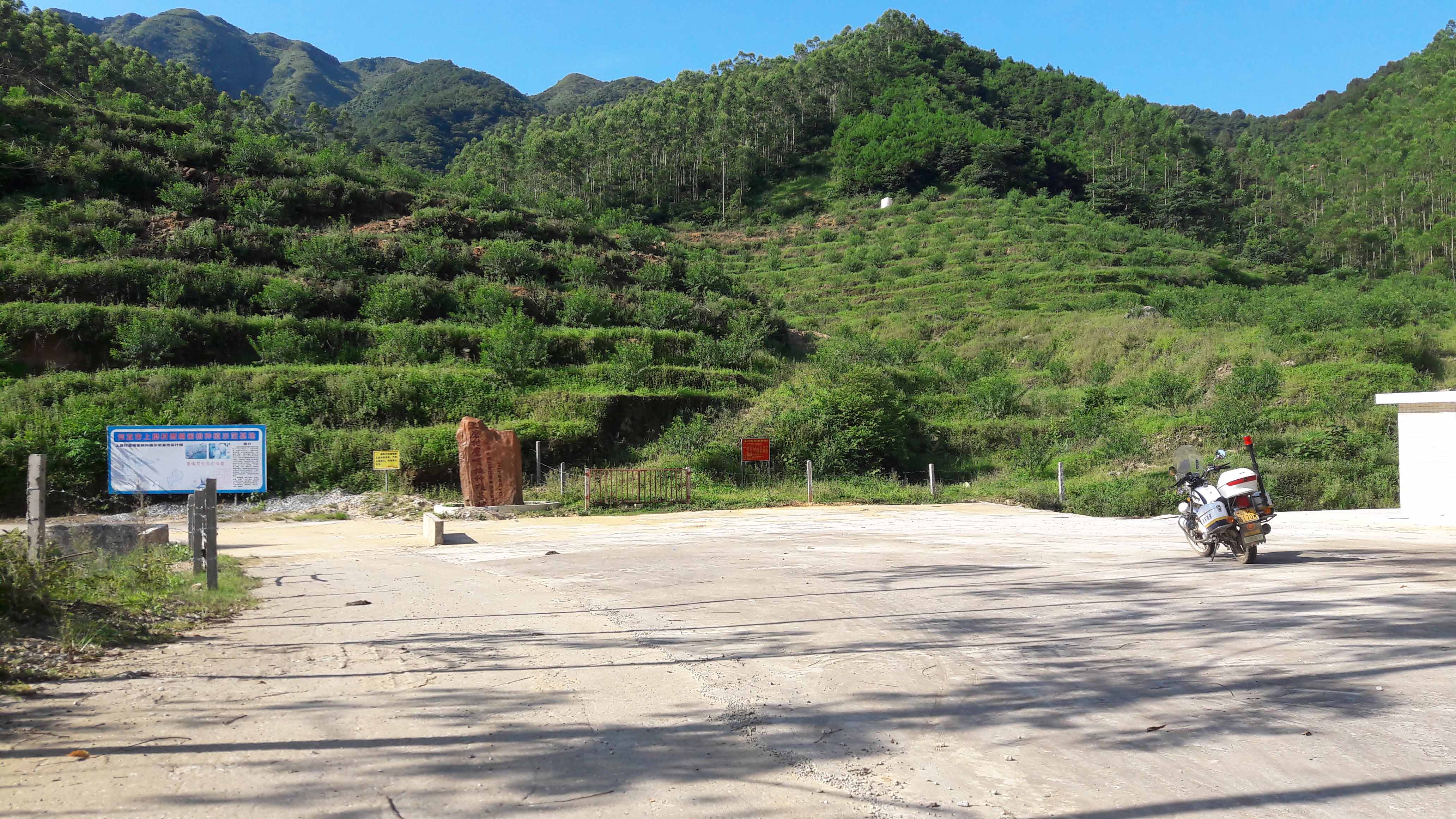 2鹰嘴桃基地正面照.jpg