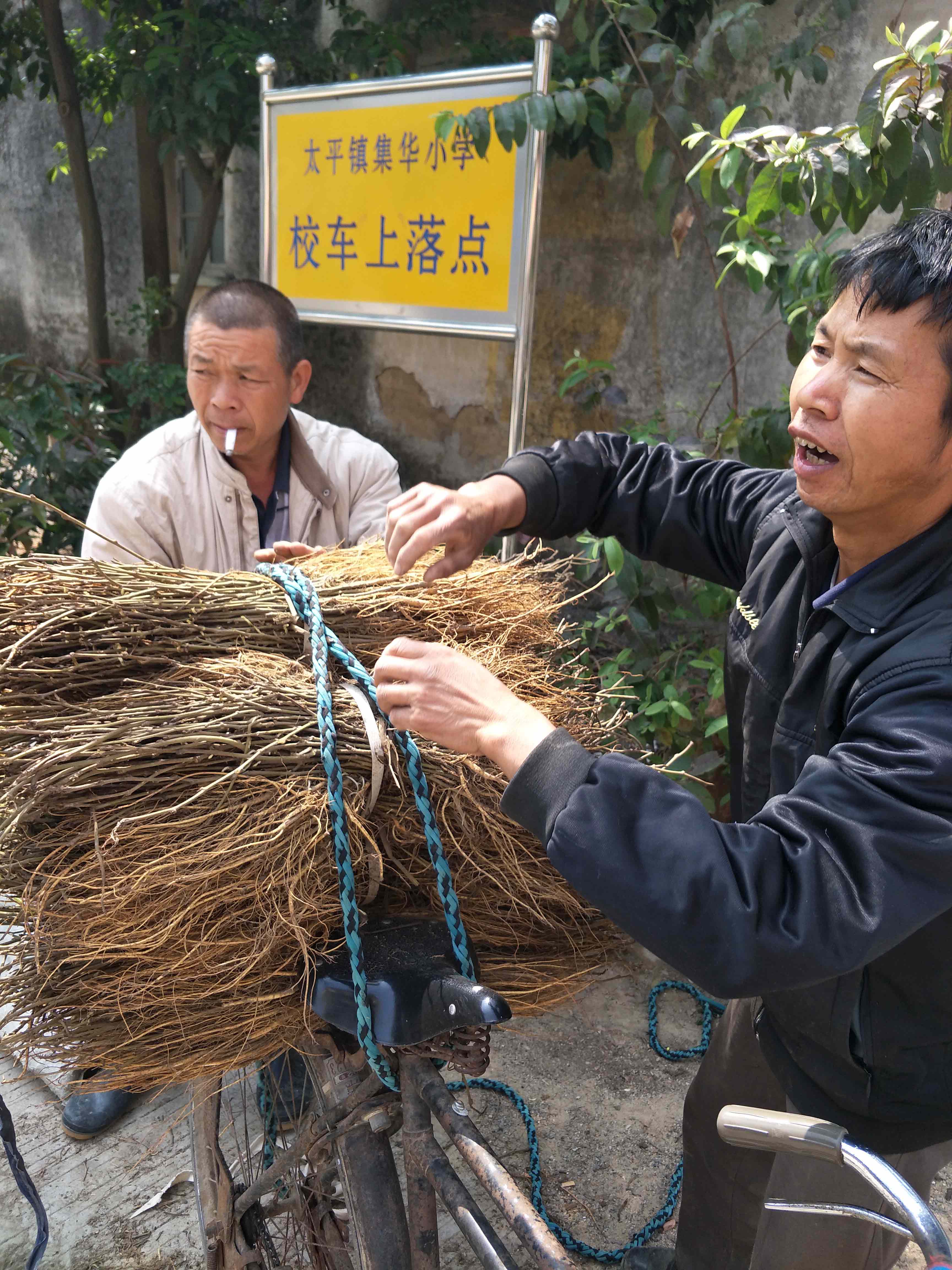 3、贫困户免费领取桑苗.jpg