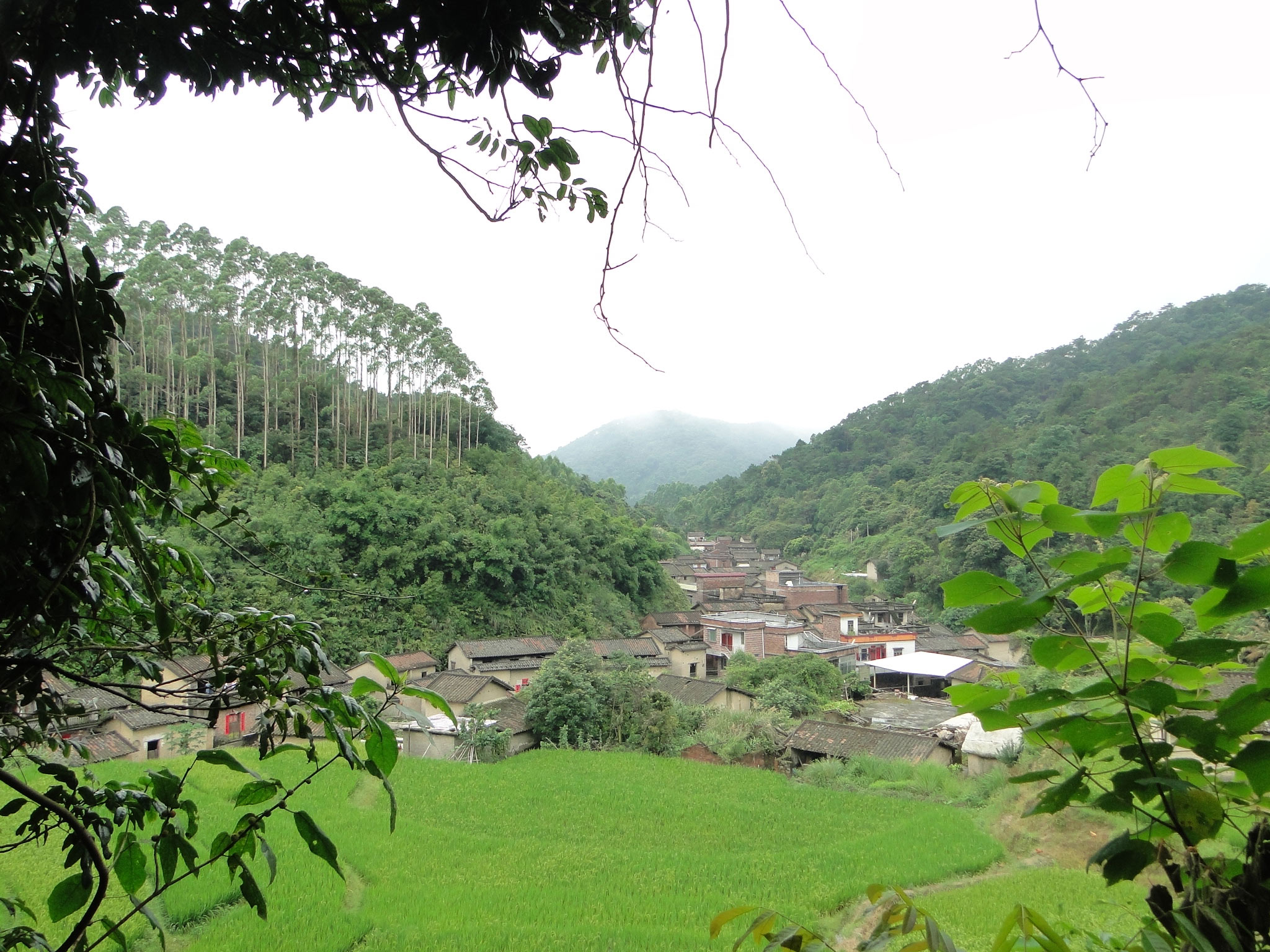 自然村情况-(2).jpg