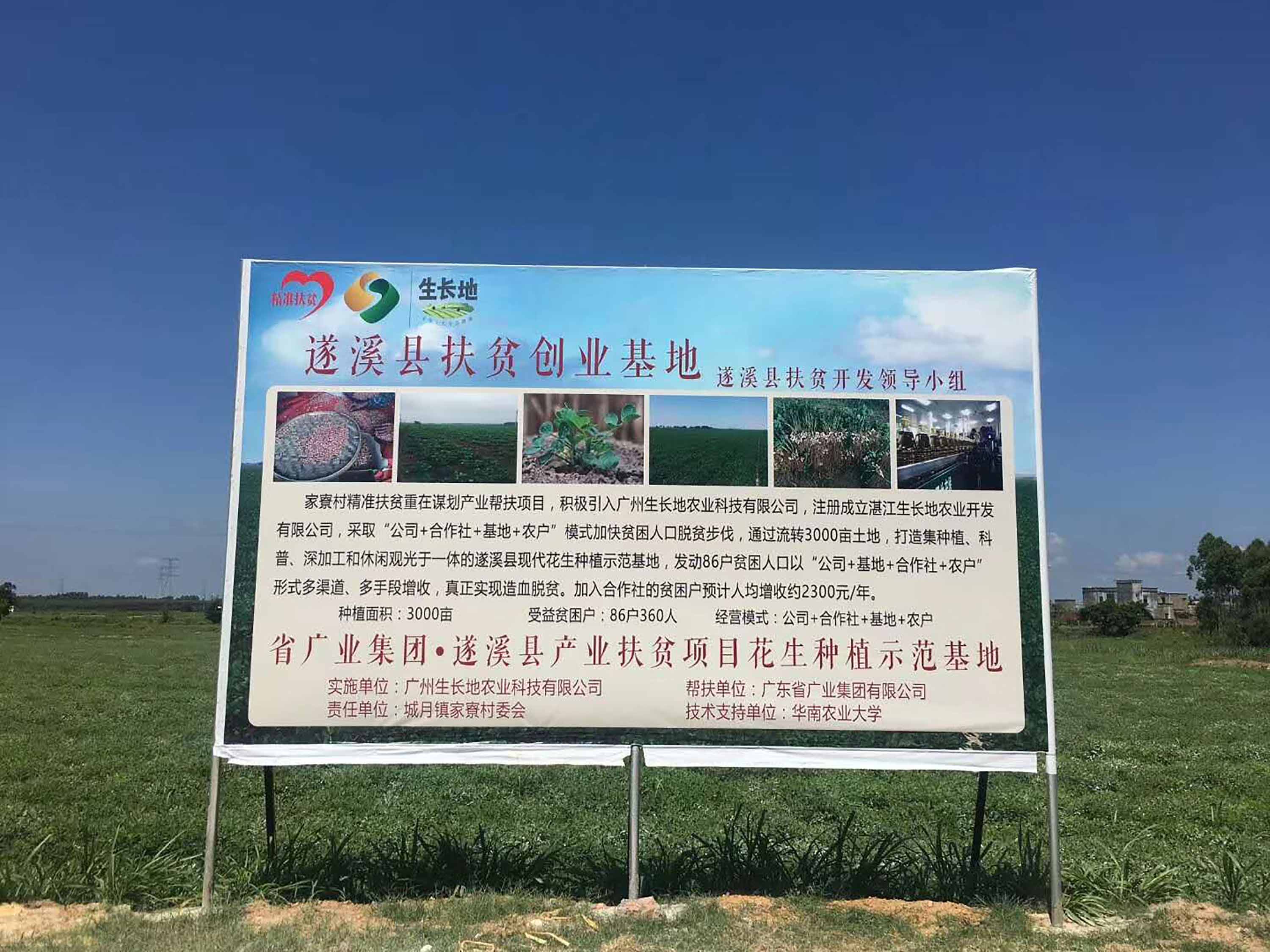 广东省广业集团·遂溪县产业扶贫项目花生种植示范基地标示牌.jpg
