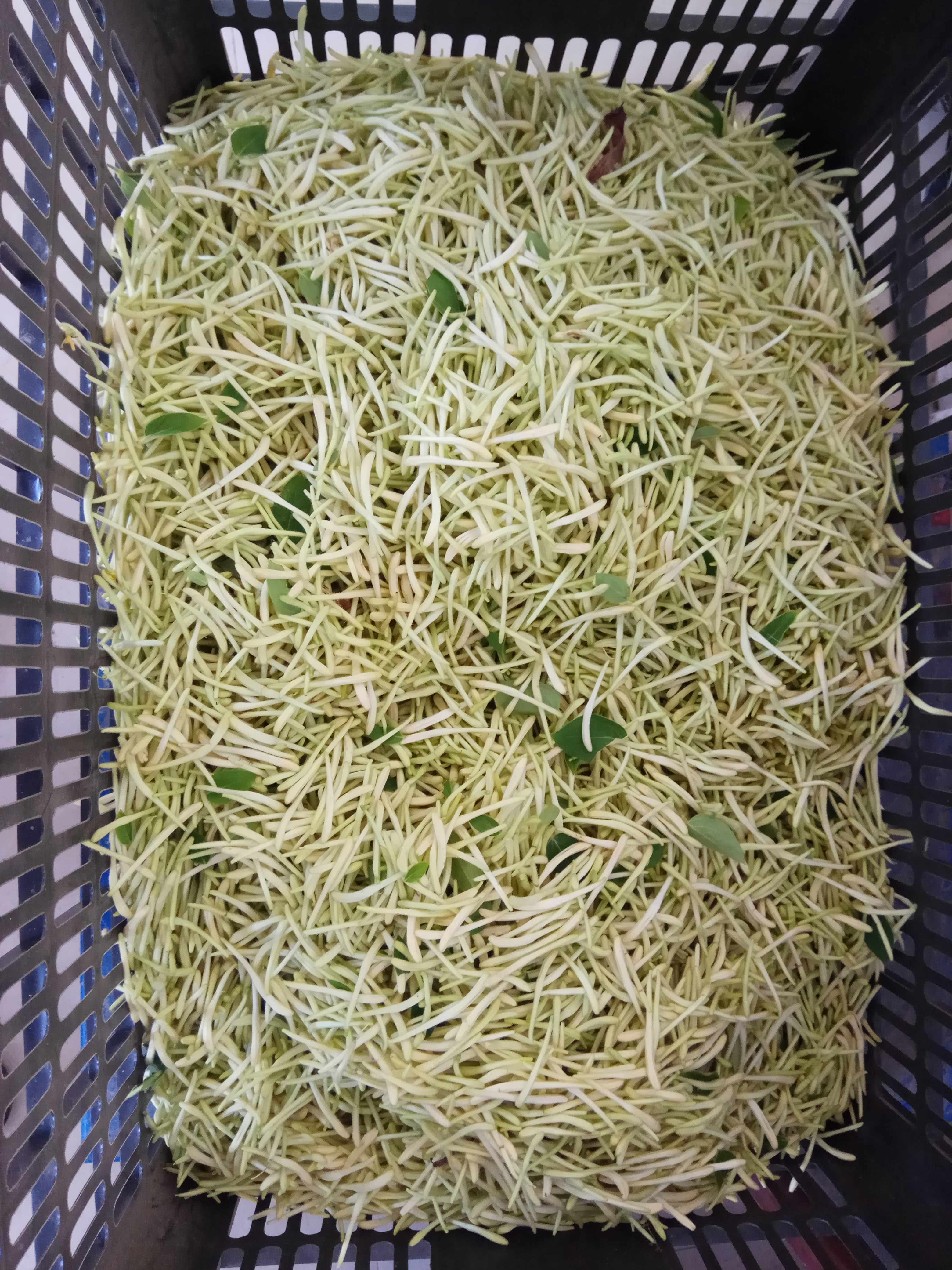收购的鲜花.jpg