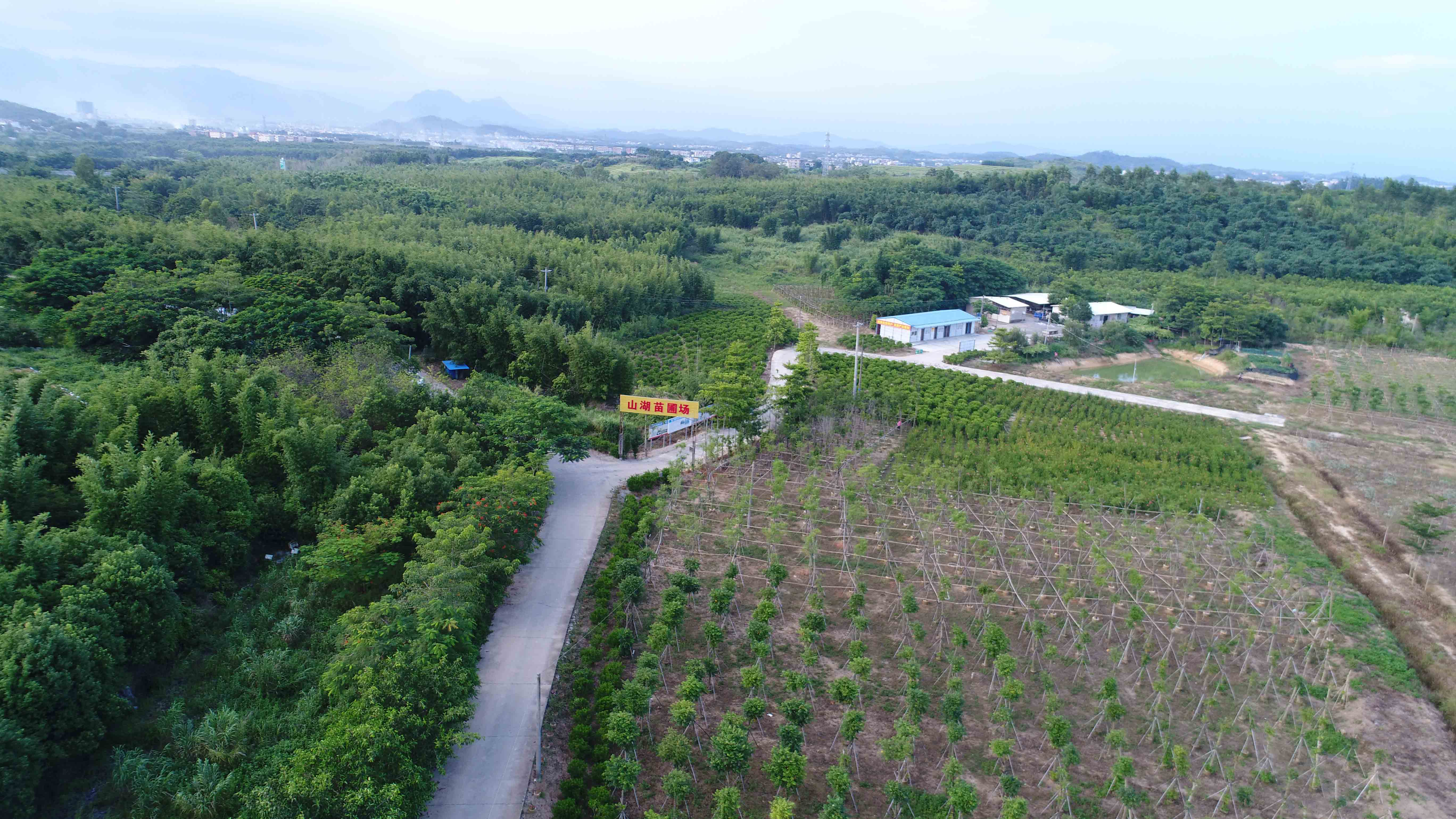 圃场鸟瞰图.jpg