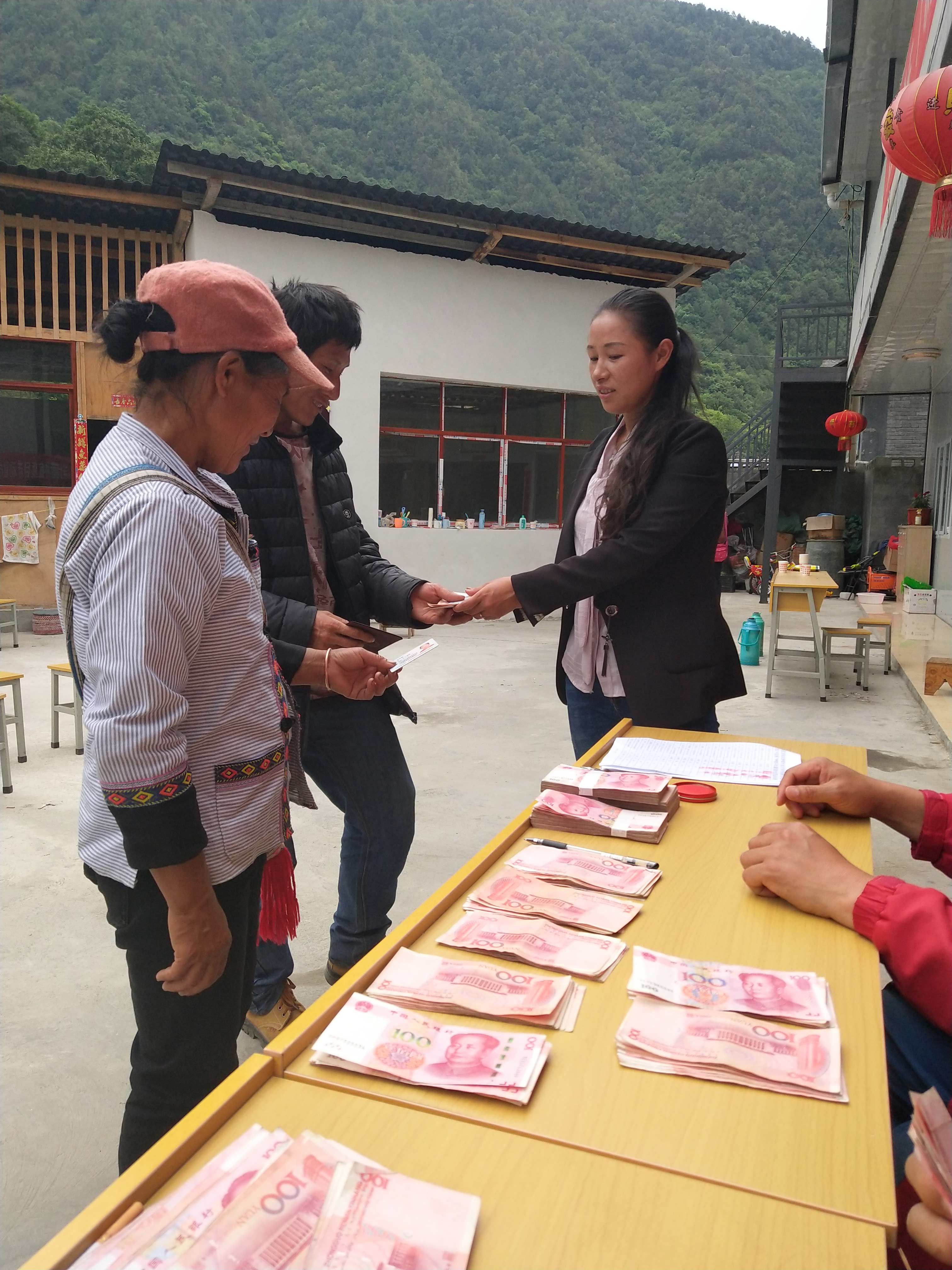 贡山羊肚菌分红1.jpg