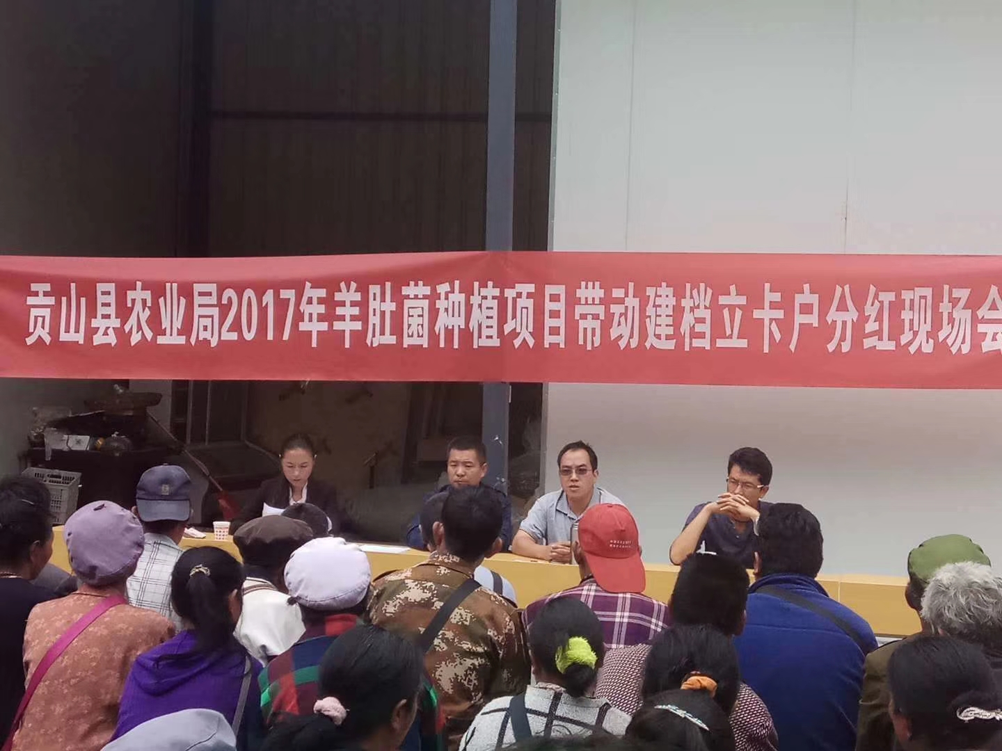 贡山羊肚菌分红.jpg
