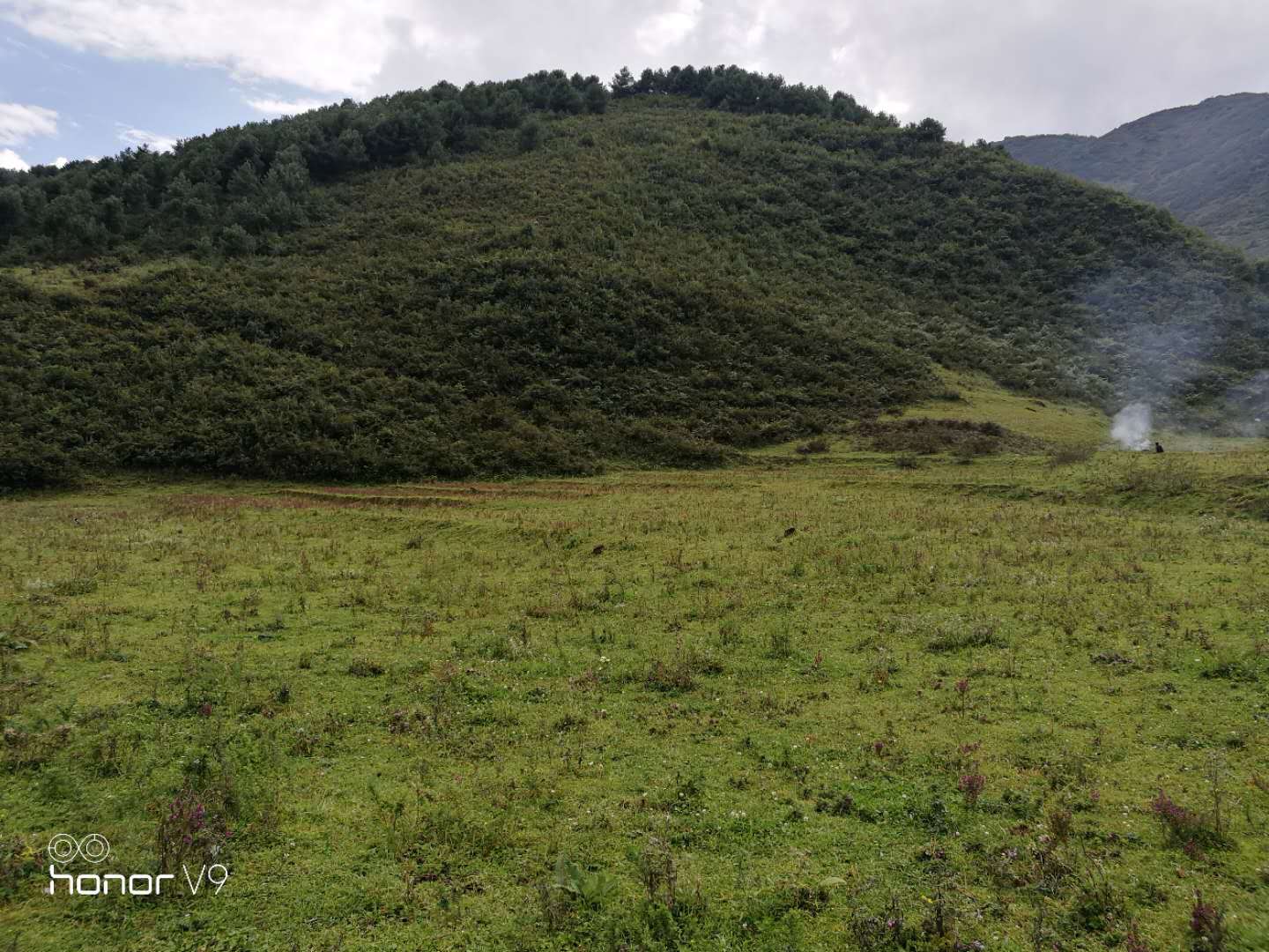 选址1.jpg