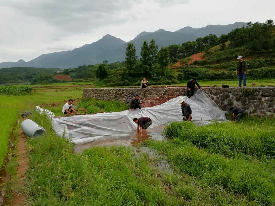 鱼池建设.jpg
