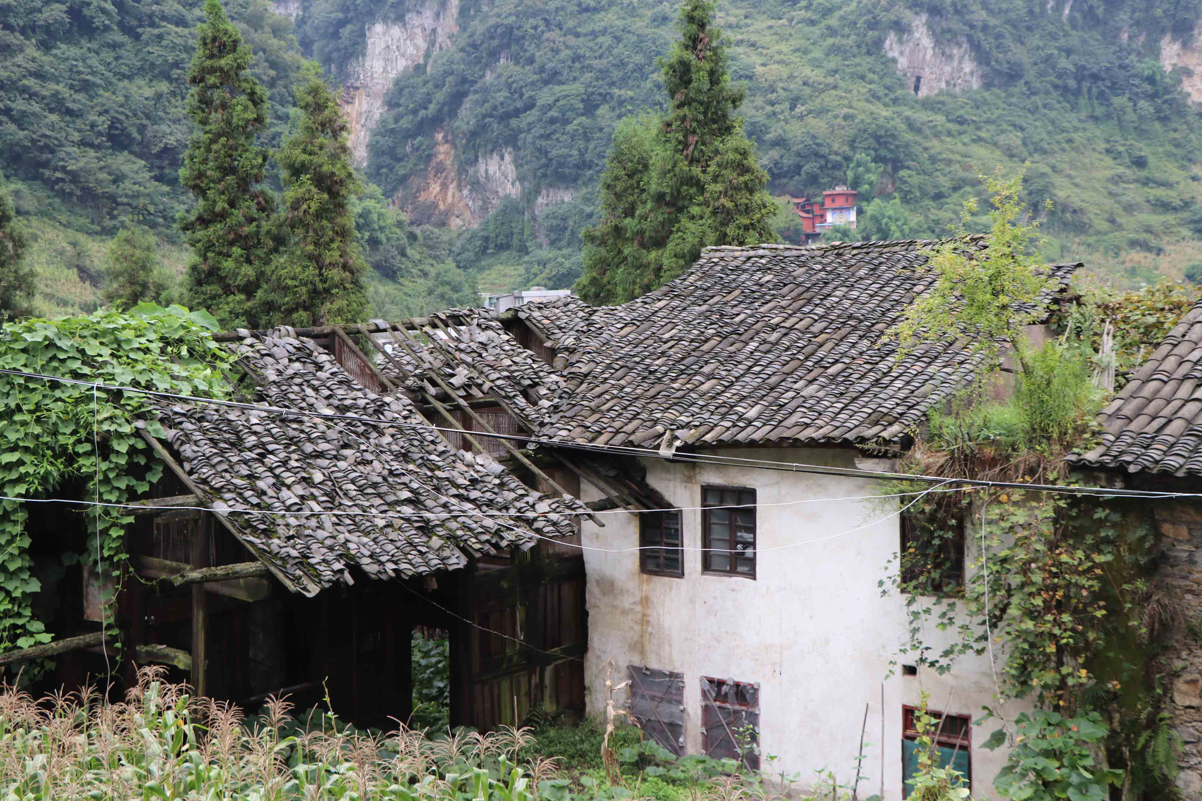 群众旧房-(2).jpg