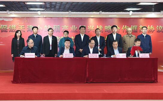 促进天津小站稻产业振兴合作协议在海南签订.jpg