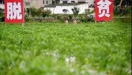 一场六年超8000万人减贫的大决战2.jpg