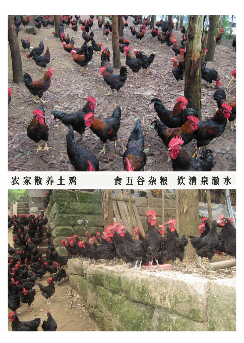 麻辣鸡块7.jpg