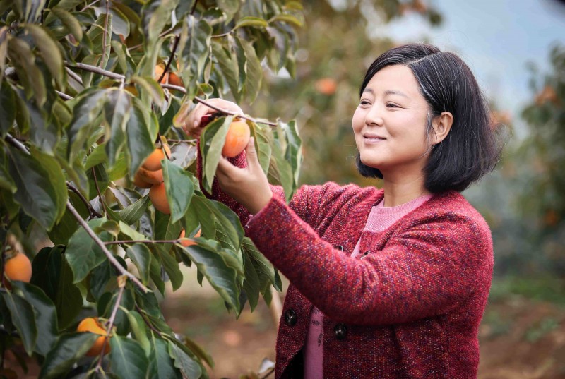 凌春香：授人以渔兴农村.jpg