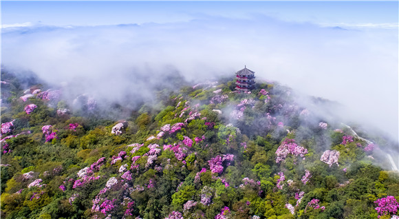 南川擦亮旅游“金字招牌”贫困村吃上了旅游饭1.jpg
