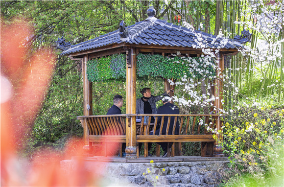 南川擦亮旅游“金字招牌”贫困村吃上了旅游饭4.jpg