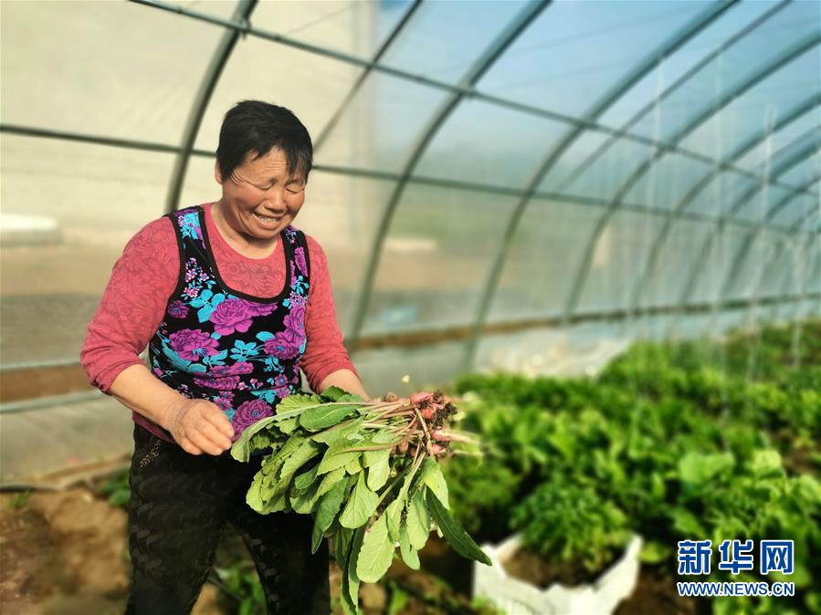 “团结”振兴团结村——黑龙江拜泉县团结村凝聚民心攻坚脱贫2.jpg