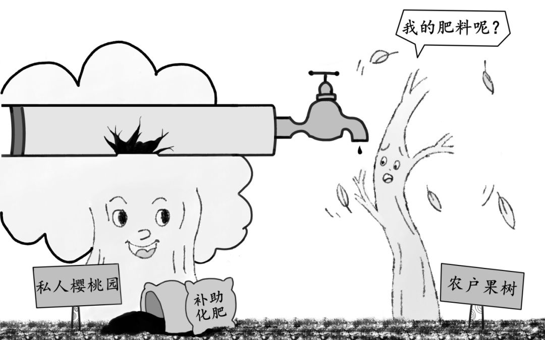 惠农补助化肥为何“失联”两年.jpeg