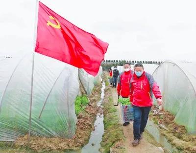 微信图片_20200218141902.jpg