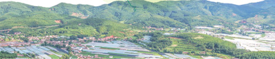脱贫攻坚3.jpg